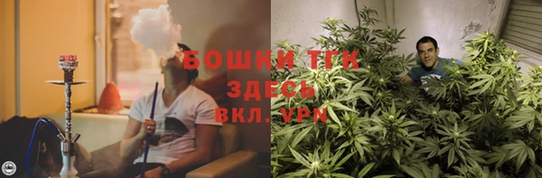 spice Аркадак