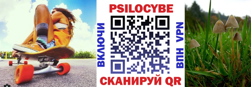 Галлюциногенные грибы прущие грибы  Струнино 