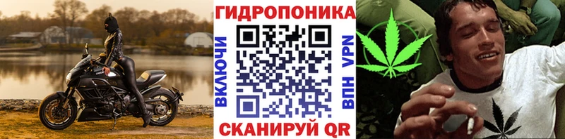 МАРИХУАНА план  мега сайт  Струнино  как найти наркотики 
